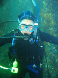 Diving at Busselton Jetty - Hecate Jay